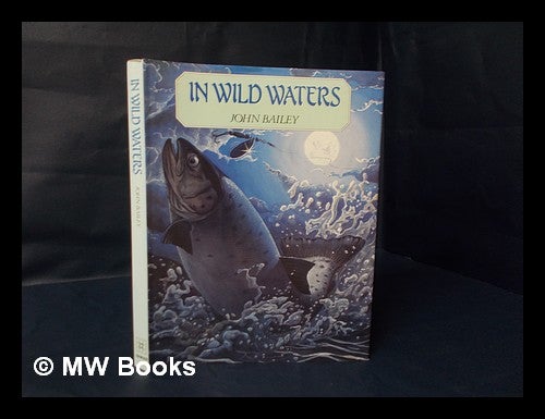 Item #246519 In wild waters. John Bailey, 1951-.