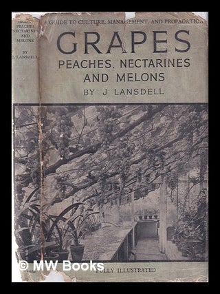 Item #350930 Grapes, peaches, nectarines and melons. Joseph. Macself Lansdell, A. J., Albert James