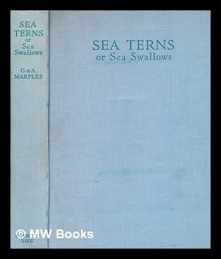 Item #356550 Sea terns or sea swallows : their habits, language, arrival and departure / by...