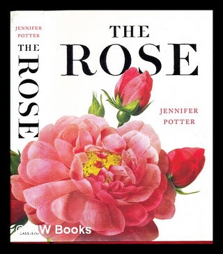 Item #378580 The rose : a true history / Jennifer Potter. Jennifer Potter