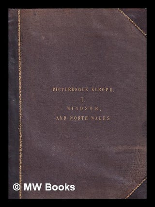Item #396082 Picturesque Europe / with illustrations on steel and wood by the most eminent...