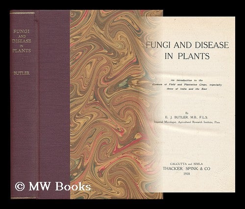 Item #46185 Fungi and Disease in Plants : an Introduction to the Diseases of Field and Plantation Crops, Especially Those of India and the East. Edwin John Butler.