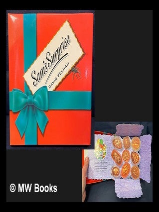 Item #465422 Sam's surprise / David Pelham. author, paper engineer