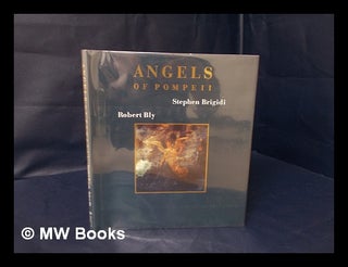 Item #56551 Angels of Pompeii / Photographs by Stephen Brigidi ; Poetry by Robert Bly. Stephen...