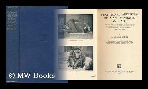 Item #7470 Functional Affinities of Man, Monkeys, and Apes A Study of the Bearings of Physiology and Behaviour on the Taxonomy and Phylogeny of Lemurs, Monkeys, Apes, and Man. S. Zuckerman.
